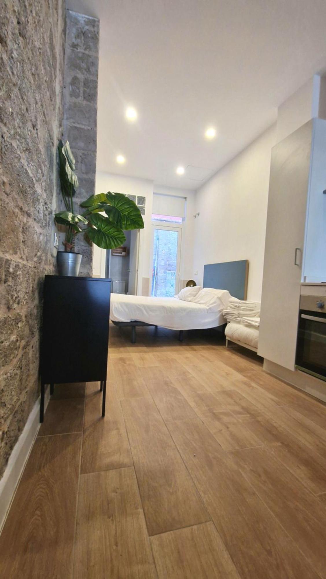 Loft Independiente Con Piscina Compartida En Centro De Valenza